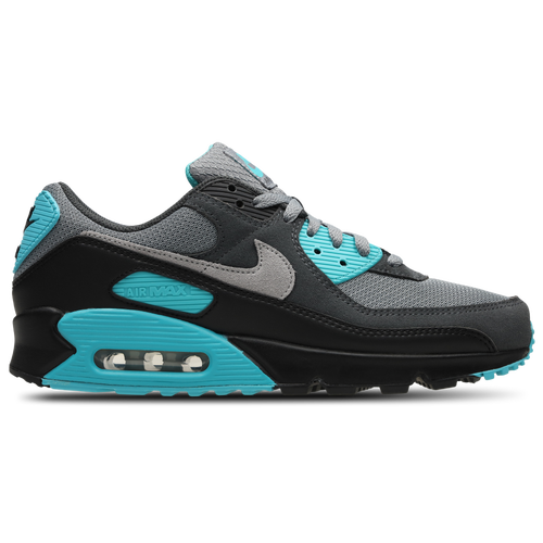 Nike Air Max 90 Cool Grey Dusty Cactus Black Wolf Grey Homme