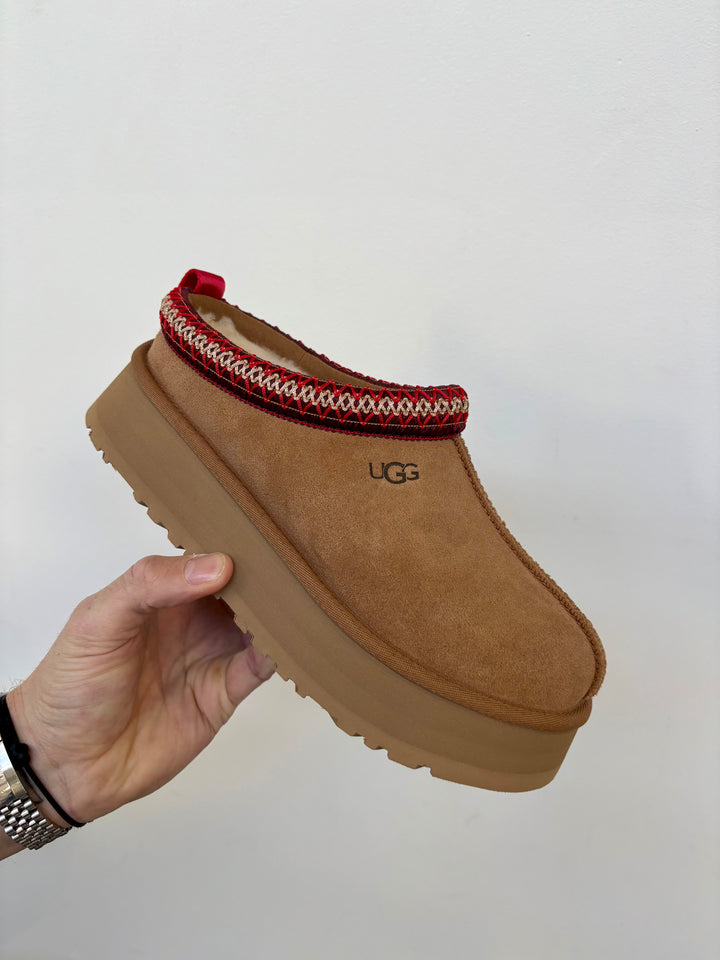 UGG Tazz Chestnut Femme