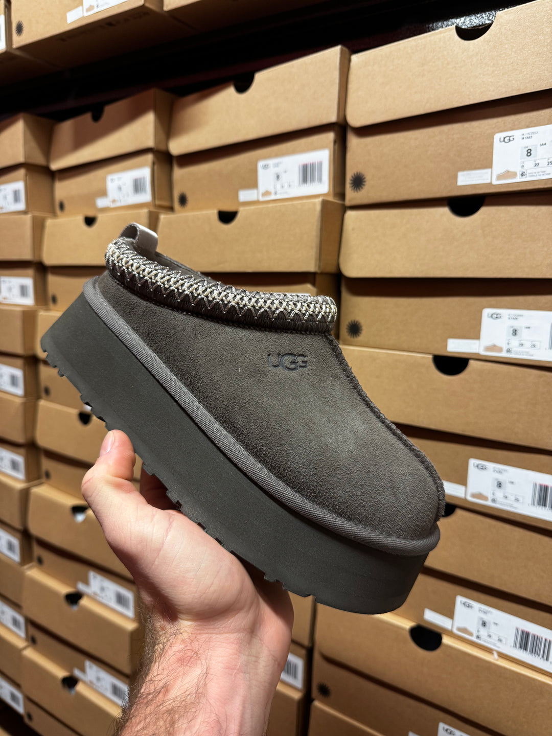 UGG Tazz Molasses Femme