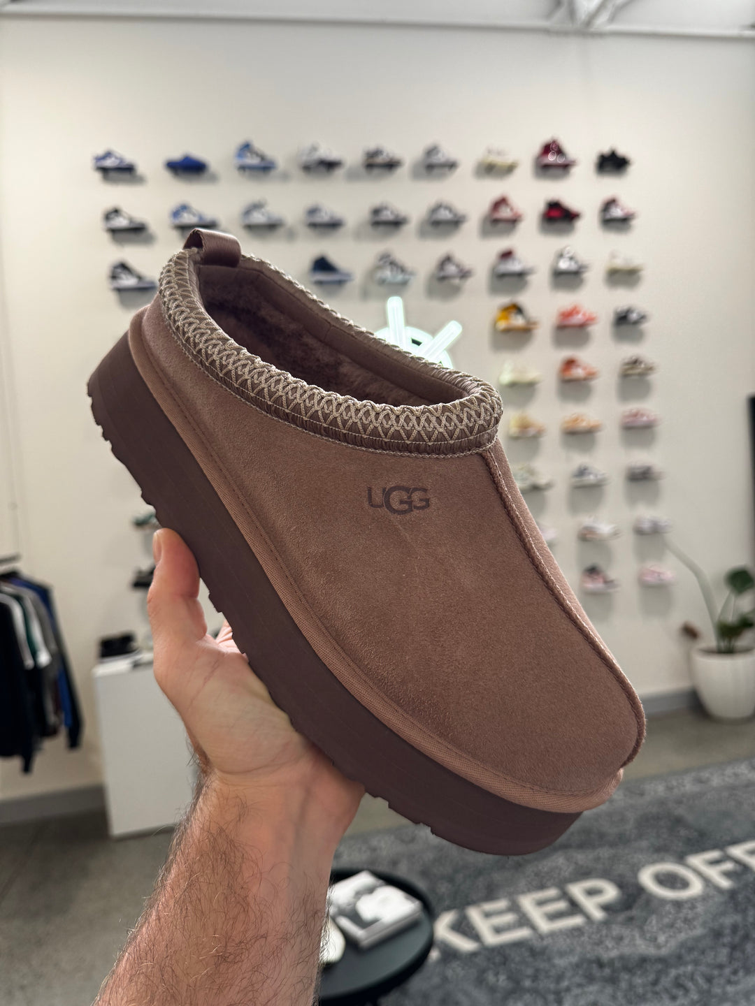 UGG Tazz II Rocky Oak Femme