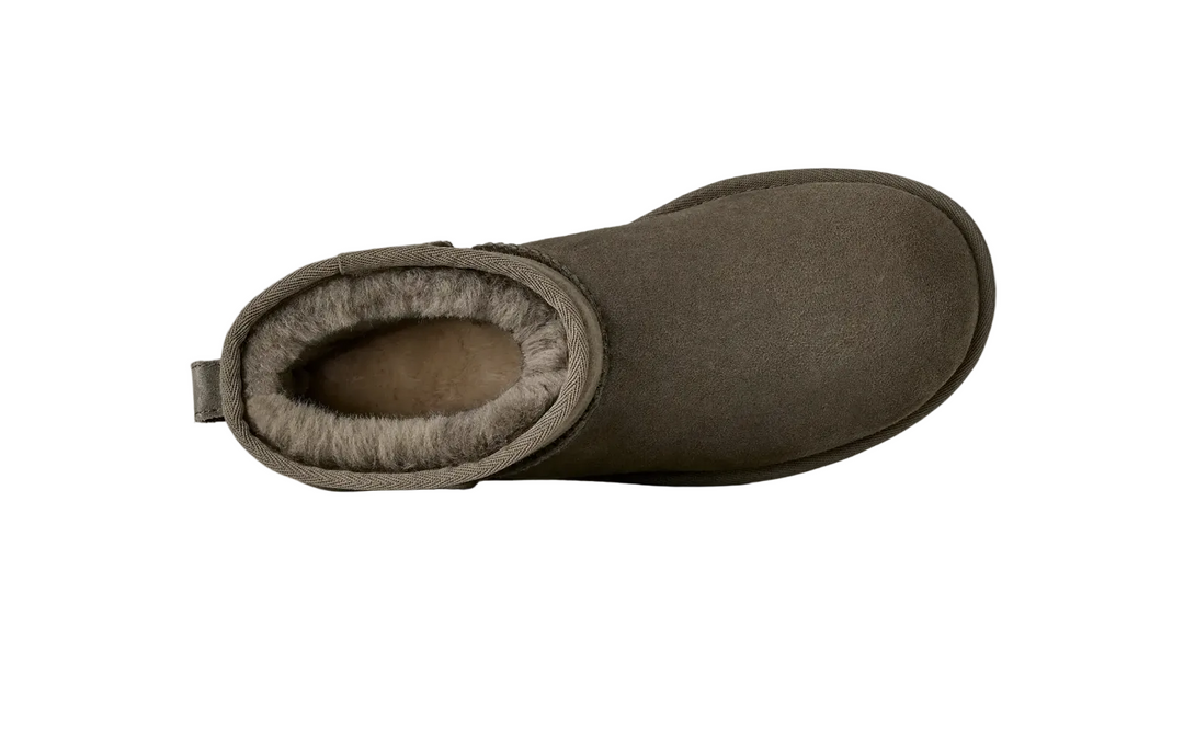 UGG Classic Mini II Dried Oregano