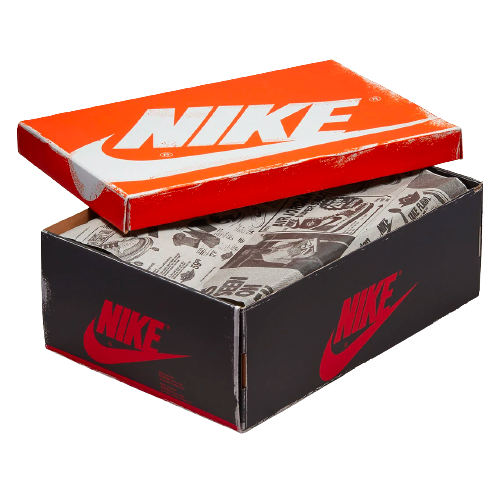 Nike Air Jordan 1 Retro High OG Chicago Lost and Found (GS) Femme